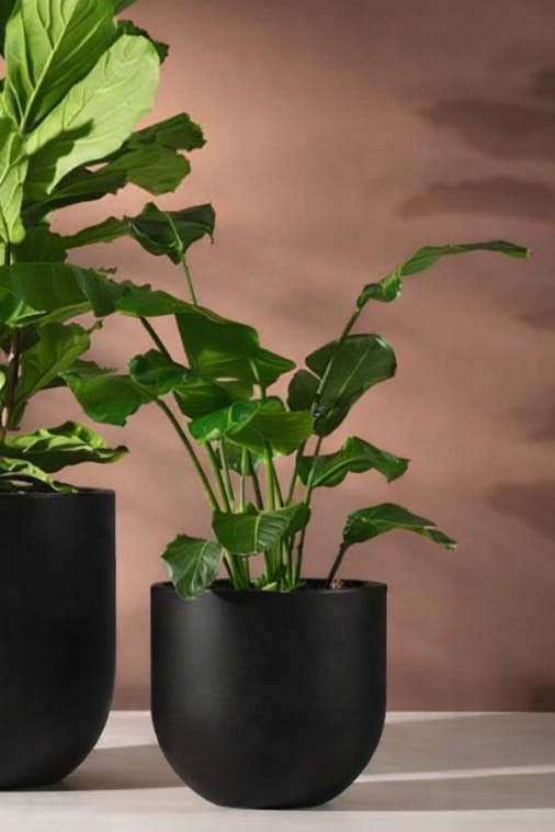 Okrągła donica ogrodowa 50 cm czarna – nowoczesna Primo pełna | Monumo