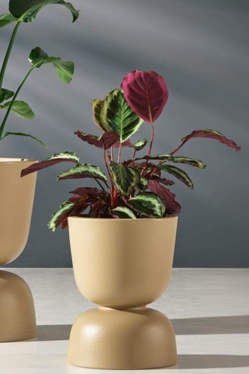 Donica ogrodowa kielich dwustronny 45 cm beżowa | Reverso z półką | Monumo