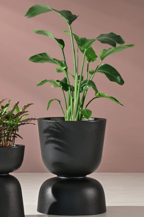 Donica ogrodowa kielich dwustronny 60 cm czarna | Reverso z półką | Monumo
