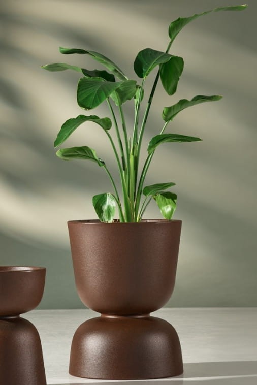 Donica ogrodowa kielich dwustronny 60 cm efekt corten | Reverso z półką | Monumo