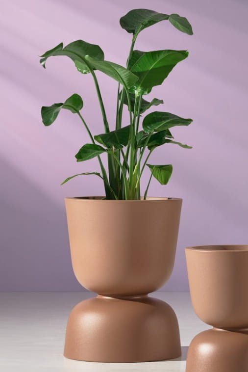 Donica ogrodowa kielich dwustronny 60 cm mokka | Reverso z półką | Monumo