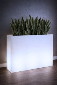 Donica LED podświetlana długa 85 cm barwa zimna | Lungo Grande light | Monumo
