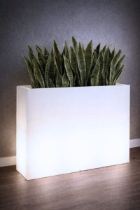 Donica LED podświetlana długa 85 cm barwa neutralna | Lungo Grande light | Monumo