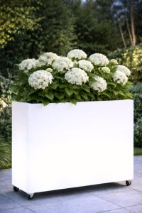 Prostokątna  donica na kółkach Monumo Lungo Grande Light barwa neutralna H:60 