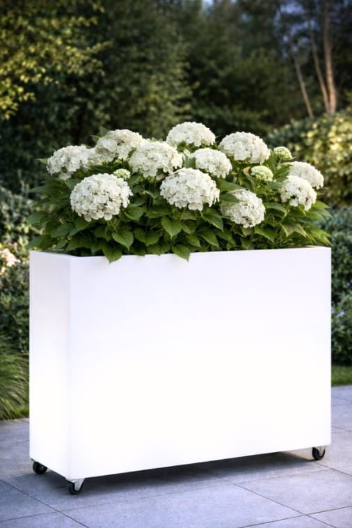 Prostokątna  donica na kółkach Monumo Lungo Grande Light barwa neutralna H:60 