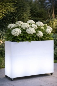 Prostokątna  donica na kółkach Monumo Lungo Grande Light barwa zimna H:60