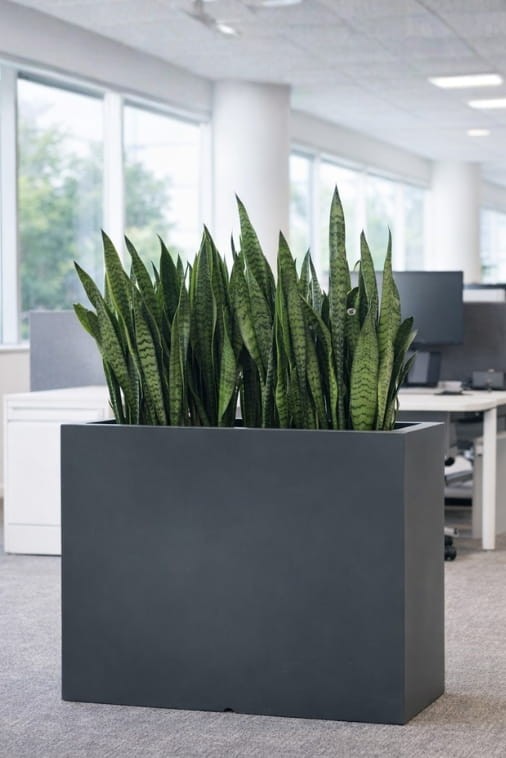 Donica prostokątna długa na taras Longerino 100 cm (100x35x70) antracytowa | Monumo