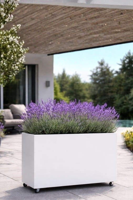 Donica prostokątna na kółkach 80 cm biała – donica tarasowa | Lungo Maxi | Monumo