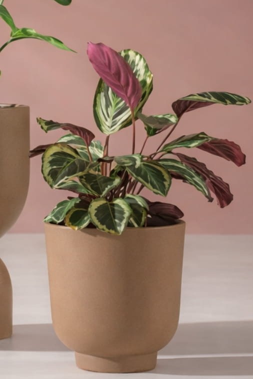 Donica tarasowa okrągła 45 cm mokka | Stevio z półką | Monumo