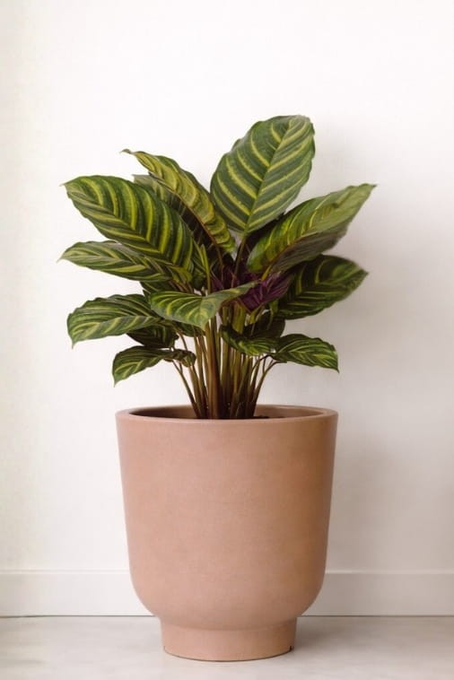 Donica do salonu okrągła 36 cm mokka | Stevio z półką | Monumo