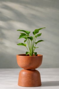 Donica ogrodowa kielich dwustronny 45 cm efekt rdzy | Reverso z półką | Monumo