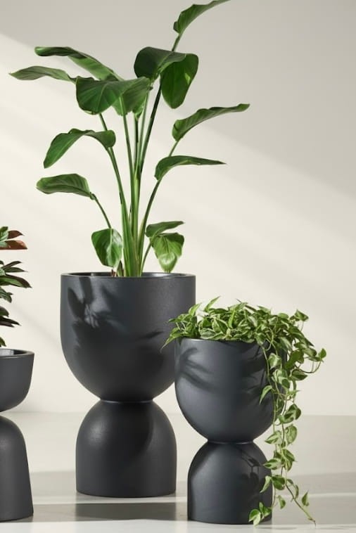 Zestaw donic Kielich 65H & 50H antracyt do ogrodu Monumo z półką