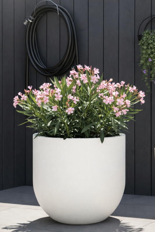 Duża donica okrągła na taras Primo 50 cm pełna biała | Monumo