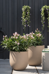 Zestaw donic ogrodowych 40 i 50 cm beżowe – 2 szt. | Primo | Monumo