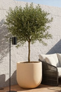 Duża donica okrągła na taras Primo 70 cm mrozoodporna pełna beżowa | Monumo