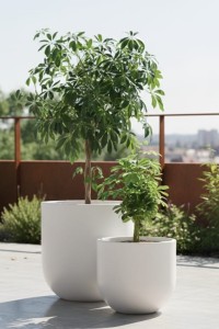 Zestaw donic ogrodowych 40 i 50 cm białe – 2 szt. | Primo | Monumo