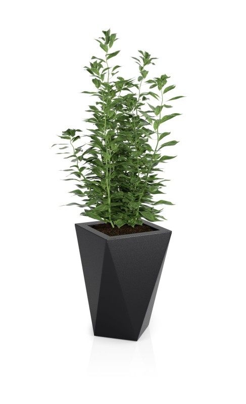 Donica tarasowa nowoczesna 59 cm czarna | Vaso pełna | Monumo