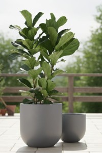 Zestaw donic ogrodowych 40 i 50 cm szare – 2 szt. | Primo | Monumo