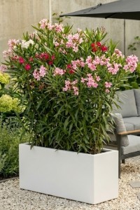 Prostokątna długa wąska donica ogrodowa Long Slim 80 cm (80x30x35) biała | Monumo