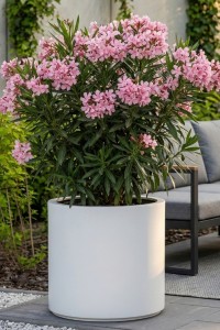 Duża donica okrągła na taras Cavo 50 cm biała pełna | Monumo