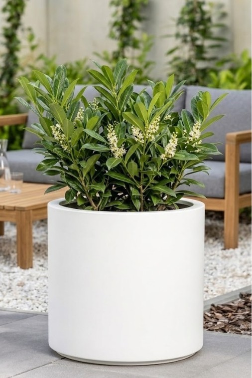 Donica ogrodowa okrągła 50 cm biała | Cavo z wyjmowanym wkładem | Monumo