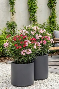 Zestaw 2 donic ogrodowych okrągłych 40 i 50 cm antracytowych | Cavo pełne | Monumo