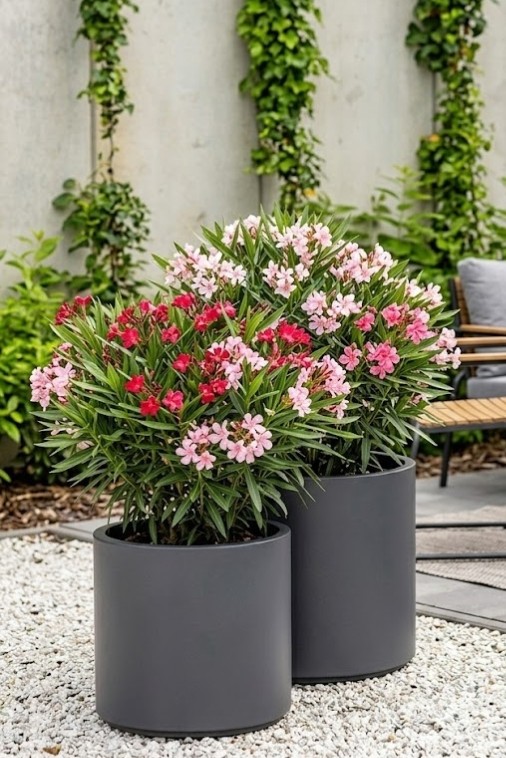 Zestaw 2 donic ogrodowych okrągłych 40 i 50 cm antracytowych | Cavo pełne | Monumo