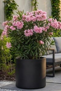 Duża donica okrągła na taras Cavo 50 cm czarna pełna | Monumo