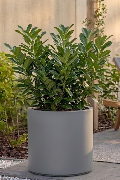 Duża donica okrągła na taras Cavo 50 cm szara pełna | Monumo