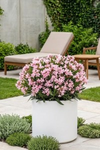 Donica okrągła na taras Cavo 40 cm biała pełna | Monumo