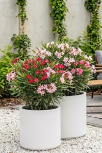 Zestaw 2 donic ogrodowych okrągłych 40 i 50 cm białych | Cavo pełne | Monumo