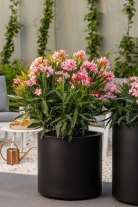 Donica okrągła na taras Cavo 40 cm z wkładem czarna | Monumo