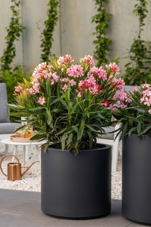 Donica okrągła na taras Cavo 40 cm z wkładem antracytowa | Monumo