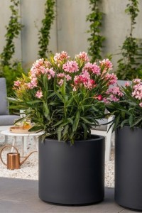 Donica okrągła na taras Cavo 40 cm antracytowa pełna | Monumo