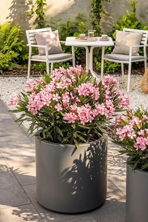 Donica okrągła na taras Cavo 40 cm z wkładem szara | Monumo