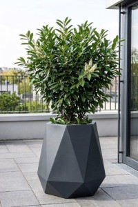 Nowoczesna geometryczna donica ogrodowa 54 cm antracytowa | Flavi z półką | Monumo