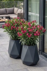 Zestaw 2 nowoczesnych donic na taras 54 cm antracytowych | Flavi z półką | Monumo