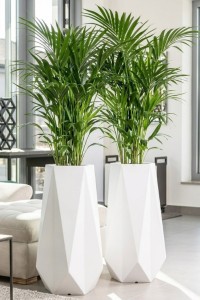 Wysoka donica ogrodowa 75 cm biała do ogrodu i na taras | Siena | Monumo