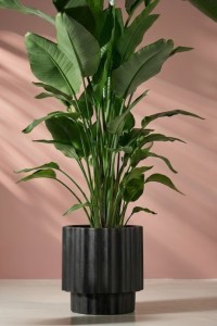 Donica ryflowana ogrodowa 55 cm czarna | Ribbo z półką | Monumo