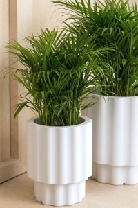 Donica ryflowana ogrodowa 45 cm biała | Ribbo z półką | Monumo