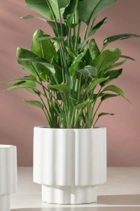 Donica ryflowana ogrodowa 55 cm biała | Ribbo z półką | Monumo