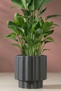 Donica ryflowana ogrodowa 55 cm antracyt | Ribbo z półką | Monumo