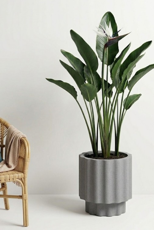 Donica ryflowana ogrodowa 55 cm efekt kamienia | Ribbo z półką | Monumo