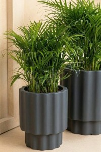 Donica ryflowana ogrodowa 45 cm antracyt | Ribbo z półką | Monumo