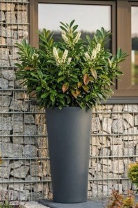 Donica tarasowa nowoczesna wysoka 80 cm antracyt | Habana z półką | Monumo