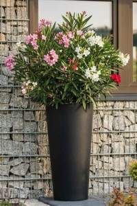 Donica tarasowa nowoczesna wysoka 80 cm czarna | Habana z półką | Monumo