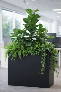 Donica prostokątna długa na taras Longerino 100 cm (100x35x70) czarna | Monumo