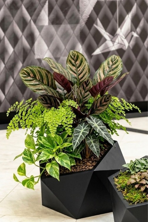 Nowoczesna donica ogrodowa asymetryczna 46 cm czarna | Vesari z półką | Monumo