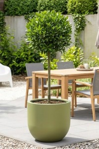 Duża donica okrągła na taras Primo 50 cm pełna oliwkowa | Monumo