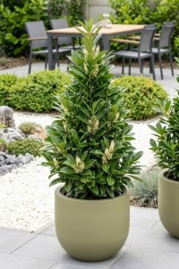 Donica okrągła tarasowa 40 cm oliwkowa z wyjmowanym wkładem | Primo | Monumo